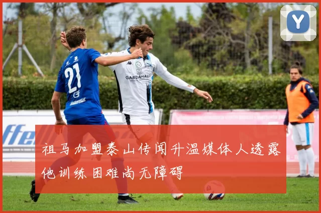 祖马加盟泰山传闻升温媒体人透露他训练困难尚无障碍